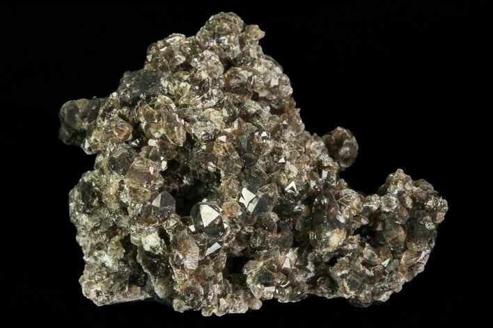 Smoky Quartz Crystal Cluster - Namibia #69184